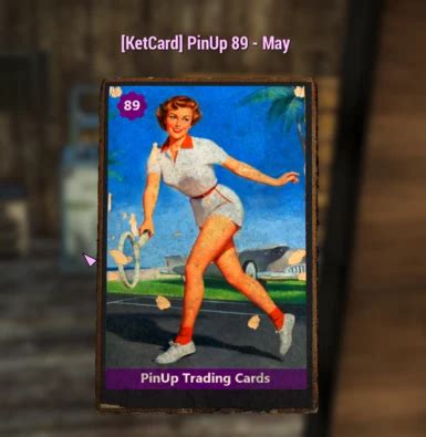 Image result for Fallout 4 Pinup Mod for PC