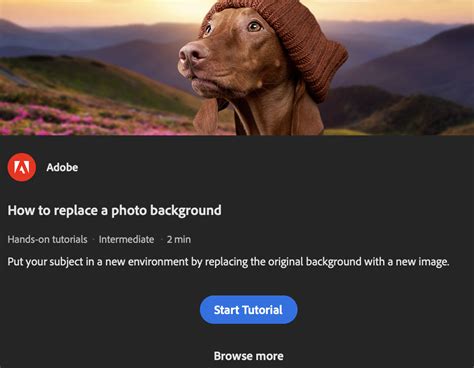Adobe Tutorials 的图像结果