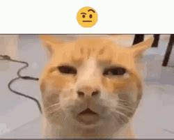 Image result for Python Advanced Programs Examples