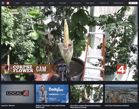 Image result for Local 4 Live