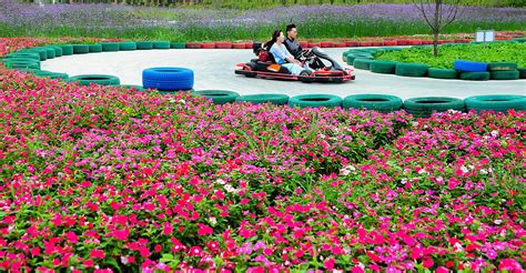 漯河雪霁花海2021春节,漯河雪霁花海2021,漯河雪霁花海(第2页)_大山谷图库