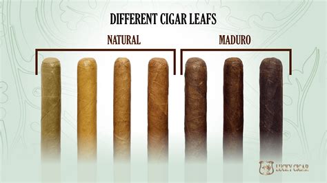 Guide to Different Types of Cigars: Size, Shape, Flavors & More | LuckyCigar.com – Lucky Cigar
