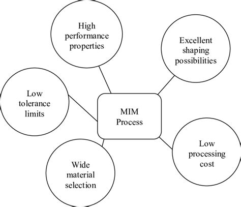 Image result for MIM Tutorial