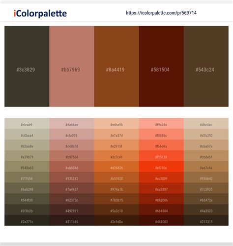 Russet Color About Russet Color Meaning, Codes, Similar Colors And