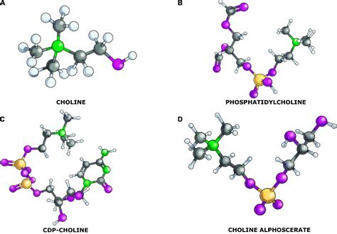 Choline Structure