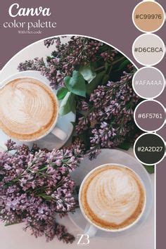 Image result for Cava Visualizer Color