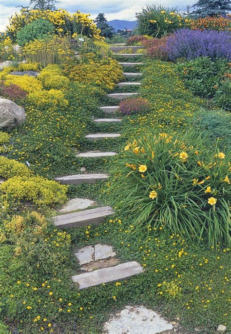 landscaping ideas hill
