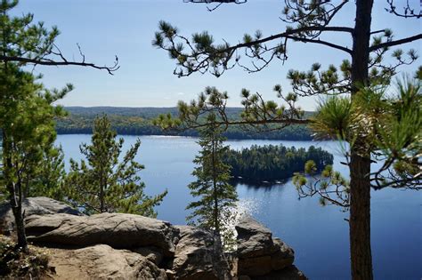 Algonquin Provincial Park Highway 60 Corridor: Ultimate Guide ...