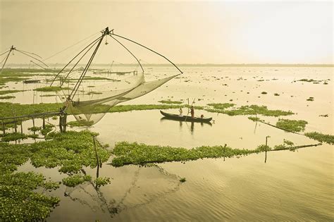 World Backwaters|Backwater Resort|Vembanad Lake|Alappuzha|Activities