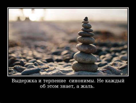 Цитаты про терпение и выдержку😣: короткие, со смыслом