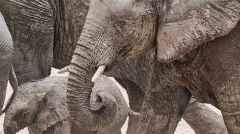 Travel | Sub Saharan Africa