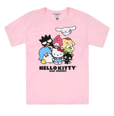 Sanrio Adult Men's Hello Kitty and Friends Pink Graphic T-Shirt - X ...