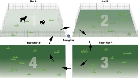 Cattle Pasture Rotation