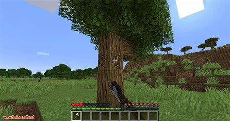 Image result for Tree Mod