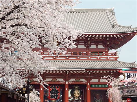 日本旅游有什么好玩的？必去的十大景点，不来看看吗？_函馆