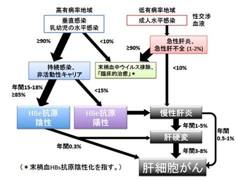 B型・C型肝炎 | 株式会社東京法規出版