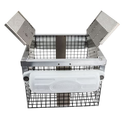 Image result for Building a Turtle Trap