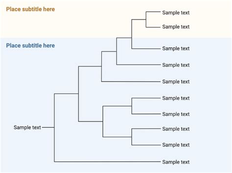 Image result for Create a Phylogenetic Tree Based On a Data Matrix