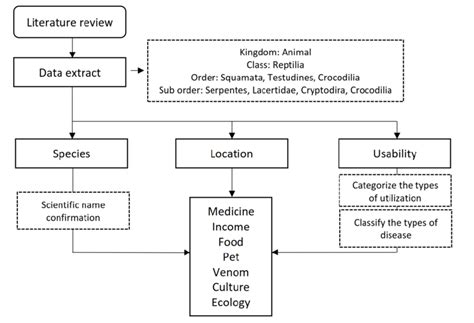 Image result for Sorting through Research