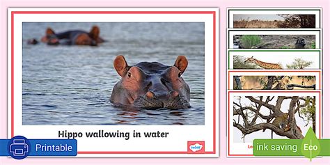 Habitats of Indigenous Animals - Poster