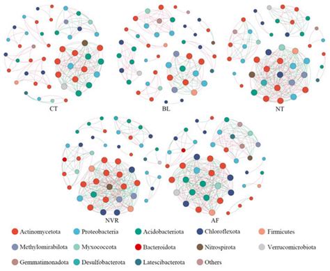 The Effects of Long-Term Land Use Changes on Bacterial Community ...
