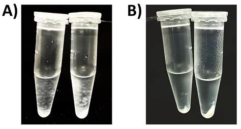 Organic Solvent Dna Extraction at Zane Morrison blog