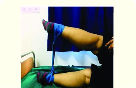 Image result for Contralateral Leg Raise