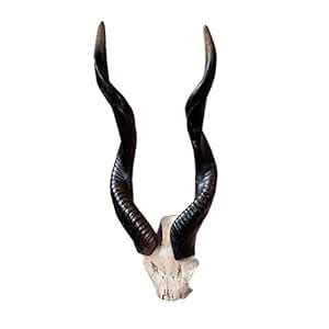 Design Toscano Kudu African Wall Trophy : Amazon.in: Home & Kitchen