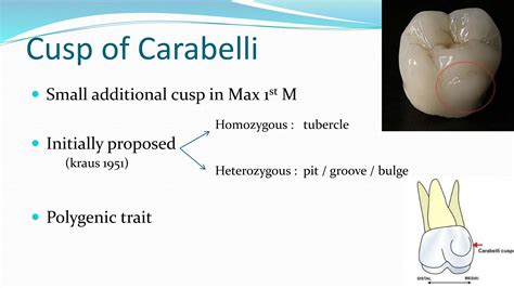 Embryology Dental and associated syndromes | PPTX