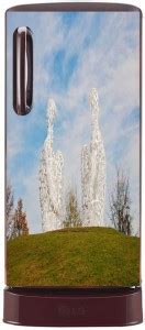 urban colours of rajasthan Single Door Fridge Sticker (60cm x 120cm ...