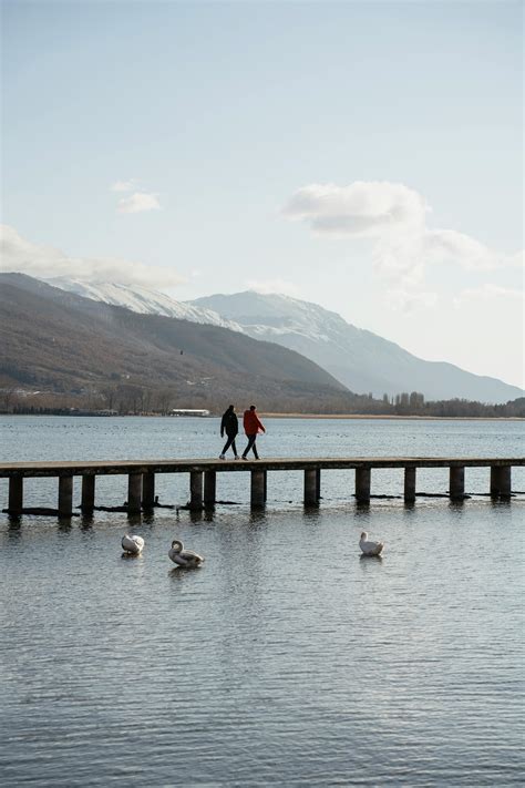 Nature Slideshow 的图像结果