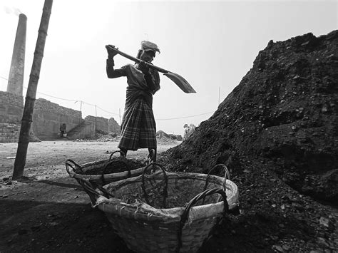 Digging 的图像结果