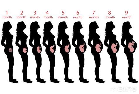 孕妇怀孕几个月肚子才会显怀？怀孕是显怀好还是不显怀好？4点孕妇早知道_腾讯新闻
