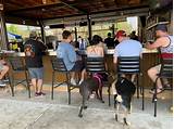 Dog park, bar Texas Dog Co. opens on San Antonio's Northside