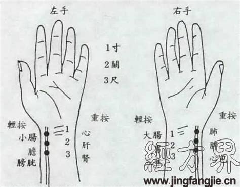 搜狗指南——生活技能宝典