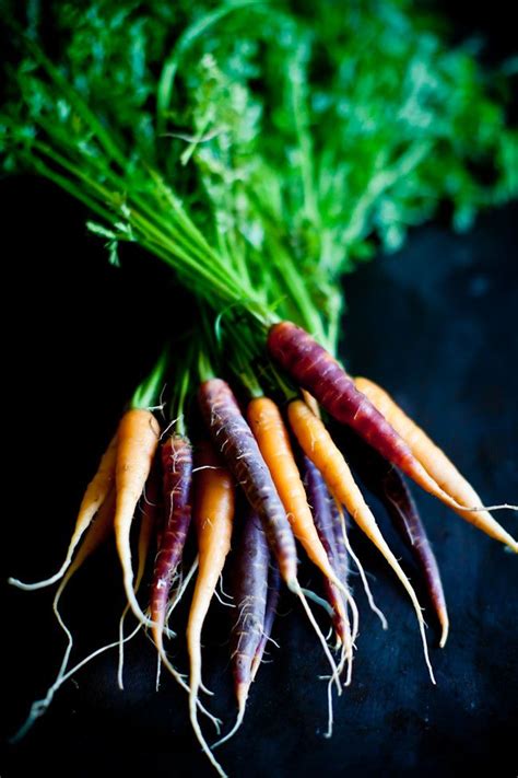 Carrots-2 | Продукты питания фото, Продукты