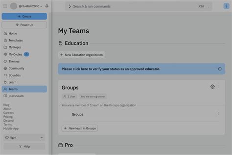 Replit Tutorial 的图像结果