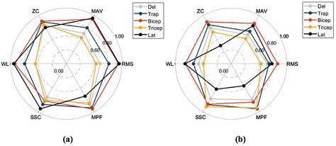 Sliding-Window CNN + Channel-Time Attention Transformer Network Trained ...