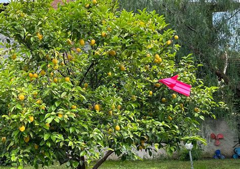 How to Make a Paper Airplane l DIY Guide on How to Fold a Paper ...