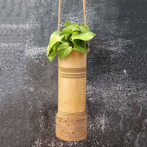 Buy Hanging Bamboo Planters for Indoor and Home Gardens