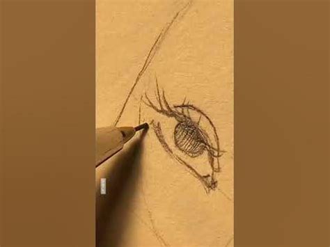 Image result for Drawing Video-Tutorials