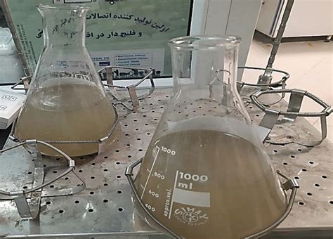 Pilot experiment Purpose 的图像结果