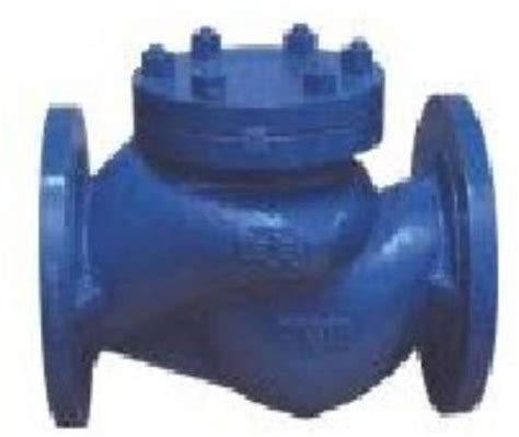 BAJAJ Cast Steel (ASTMA-216 Gr.WCB) Horizontal Lift Check Valve - 25mm ...
