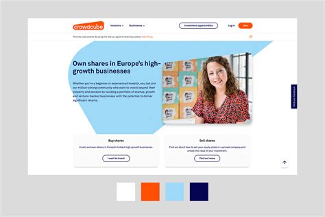 Image result for Color Scheme for Web Design