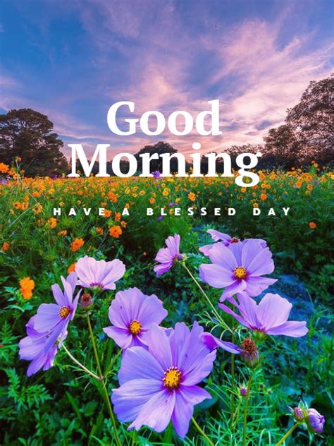 120+ Good Morning Nature Images & Wishes - Good Morning Wishes