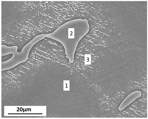 The Corrosion Behavior of AZ91D Magnesium Alloy in Simulated Haze ...