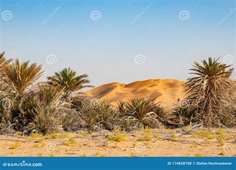 Oasis in the Desert of Rub Al Khali or Empty Quarter Stock Photo ...