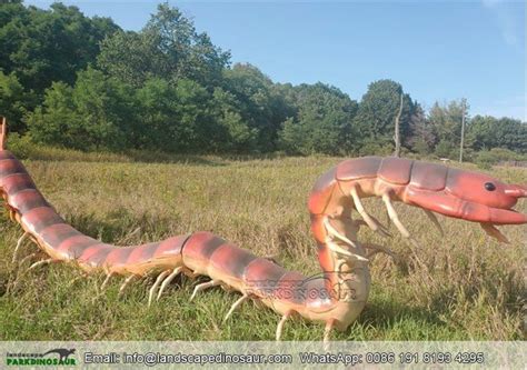 Image result for Giant Insect Lab Gallery