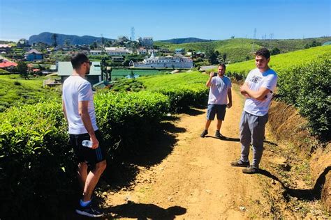 NUWARA ELIYA TOURS | EXPLORE NUWARA ELIYA (2025) All You Need to Know ...