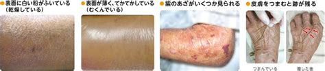 Image result for System Function Map